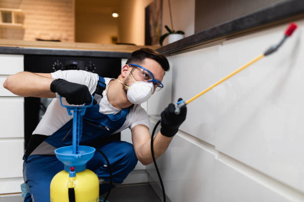 Best Wasp Removal Services  in Ozona, TX