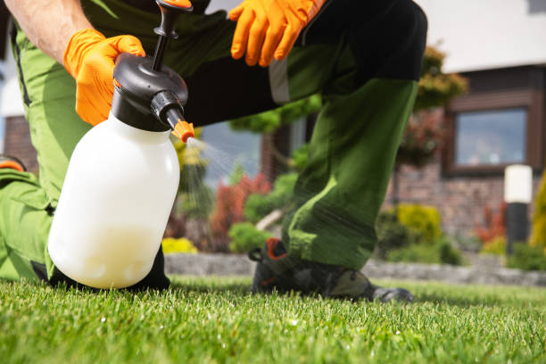 Best Pest Inspection Near Me  in Ozona, TX