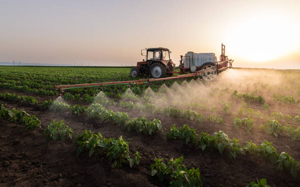 Best Pest Control Near Me  in Ozona, TX
