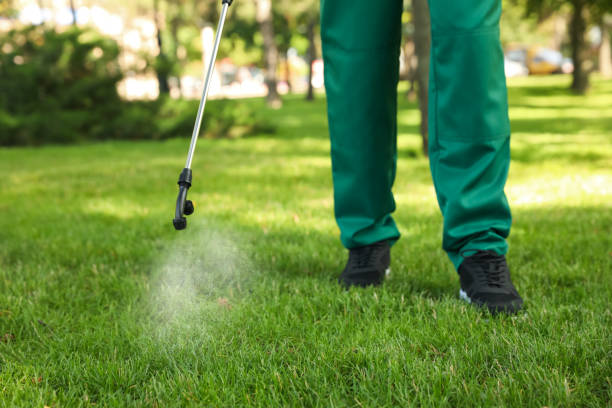 Best Residential Pest Control  in Ozona, TX