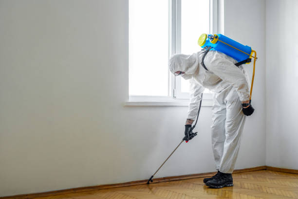 Best Pest Prevention Services  in Ozona, TX