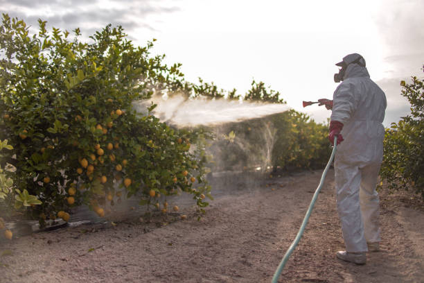 Best Pest Inspection Near Me  in Ozona, TX