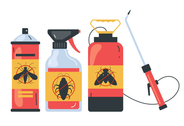 Wasp Removal Services in Ozona, TX