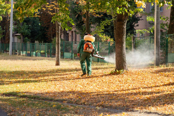 Best Residential Pest Control  in Ozona, TX