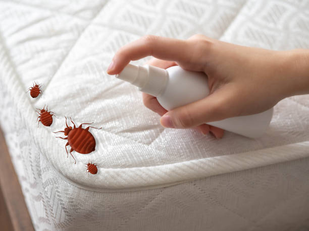 Best Affordable Pest Control Services  in Ozona, TX