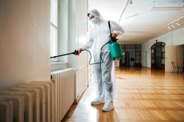 Best Insect Control  in Ozona, TX