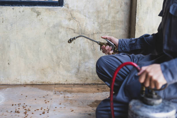 Best Residential Pest Control  in Ozona, TX